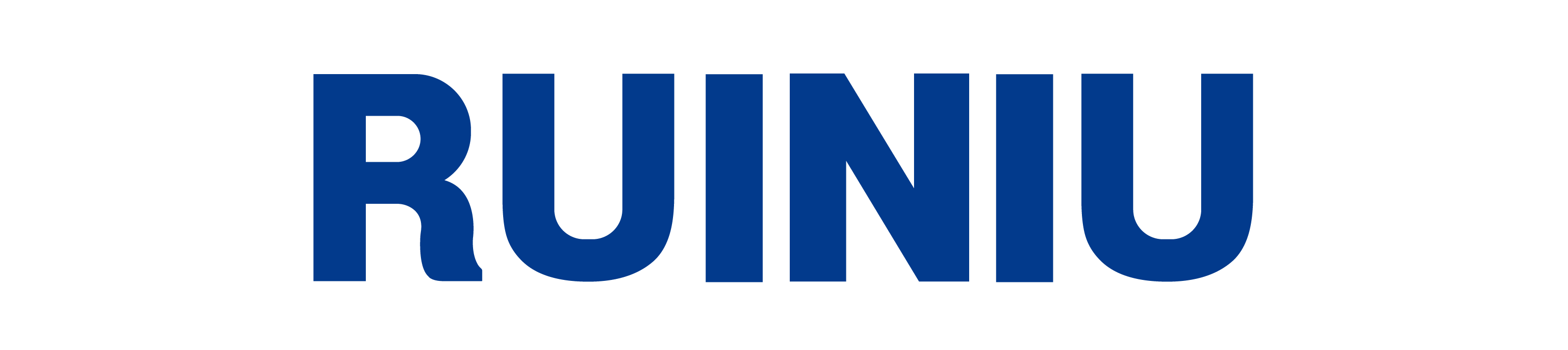 КОМПАНИЯ RUINIU STOCK COMPANY LIMITED